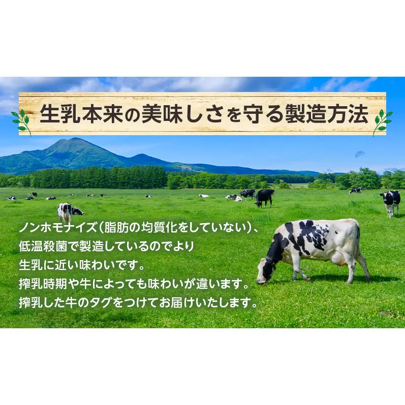のむヨーグルト 生乳100%使用 500ml×3本 北海道産 ブラウンスイス種 [i・ふぁーむ] 【 飲むヨーグルト 牧場直送 幕別 プレーン 濃厚 牛 朝食 】