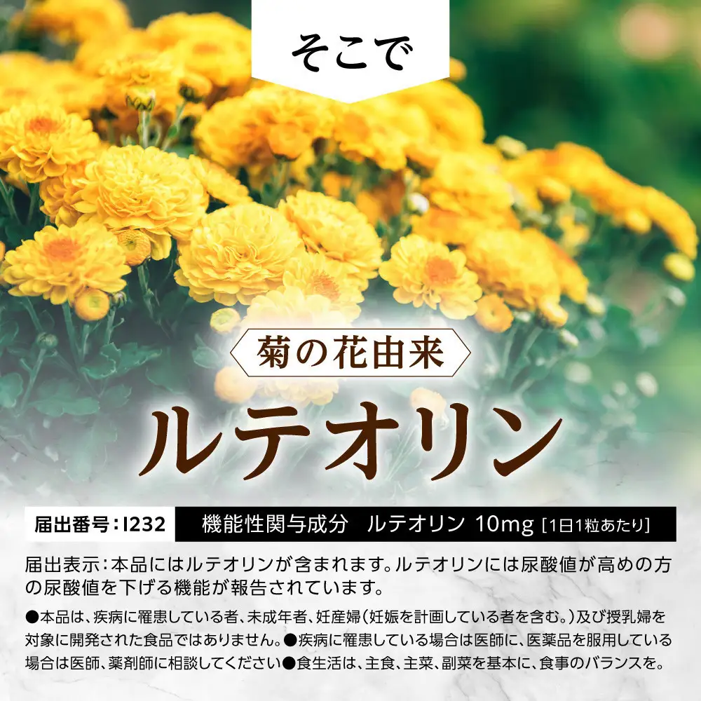 ルテオリンサプリメント キニシナイトGOLD尿酸値ケア 2袋