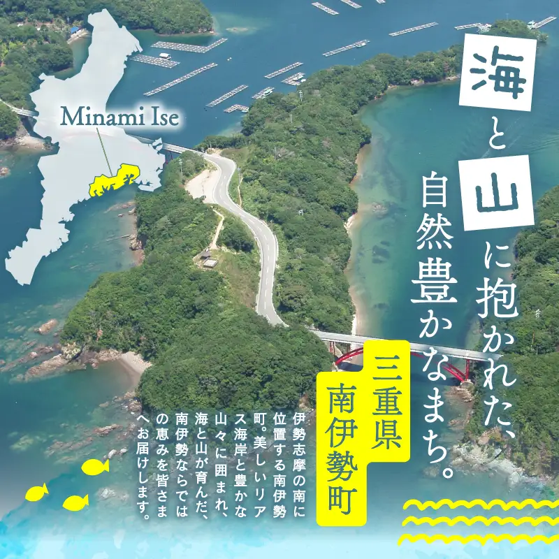 【着日指定可能】 カンカン焼き ヒオウギ貝 25枚 (冷凍) / ギフト 贈答 のし対応可
