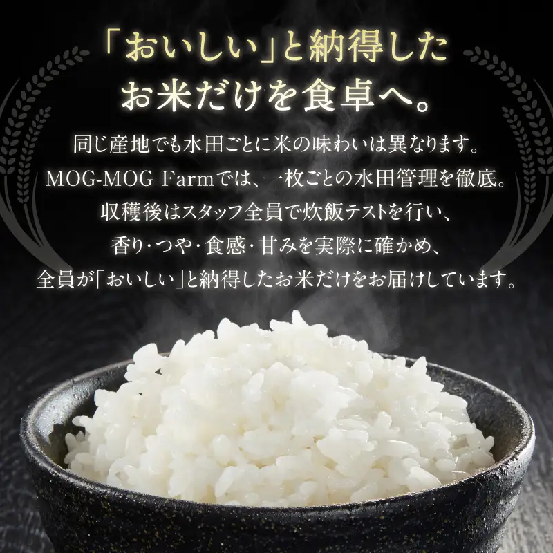 【先行予約】【R8年度産】島根県江津市 きぬむすめ 白米 5kg ※発送直前精米※ MG-3 新米 お米