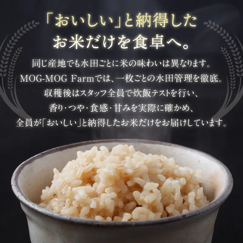 【先行予約】【R8年度産】島根県江津市 きぬむすめ 玄米 10kg MG-6 新米 お米
