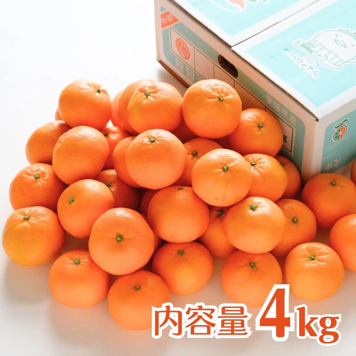 みかん 【先行受付】はれひめ 4kg 秀品 2L～S