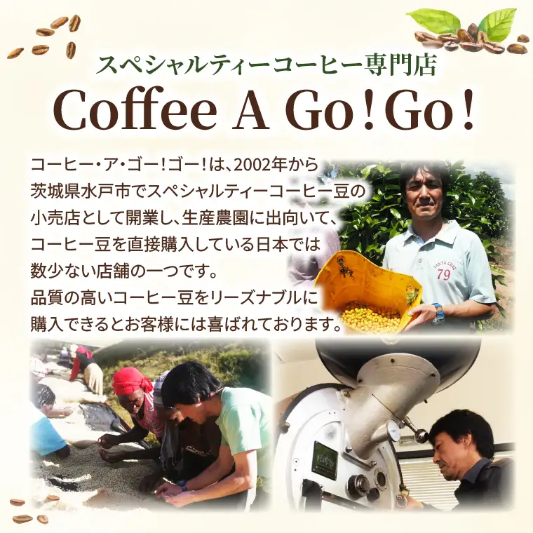 【コーヒーアゴーゴー】水出しコーヒー ４個パック（４リットル分）（DY-4）