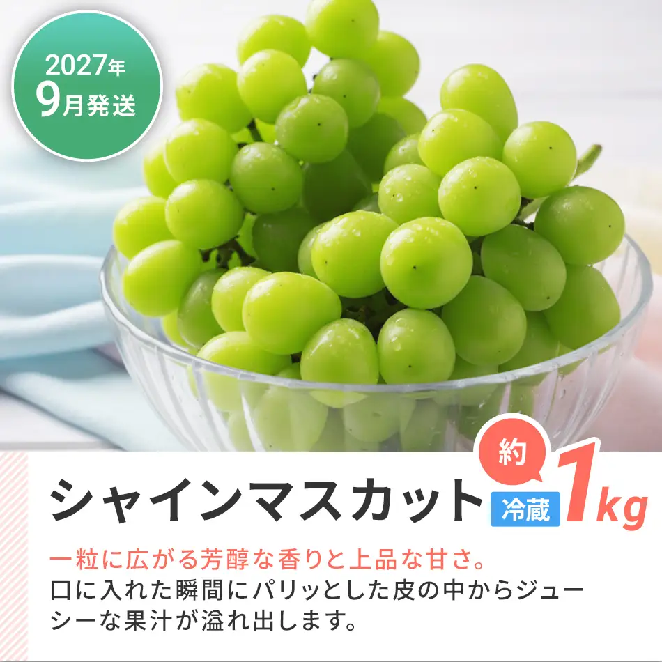 フルーツ定期便  果物定期便D  フルーツ定期便 【2027年3月・9月発送】