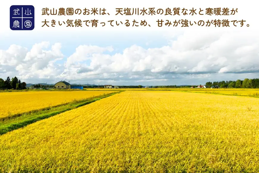 米 令和8年 6回 定期便 ゆめぴりか 5kg