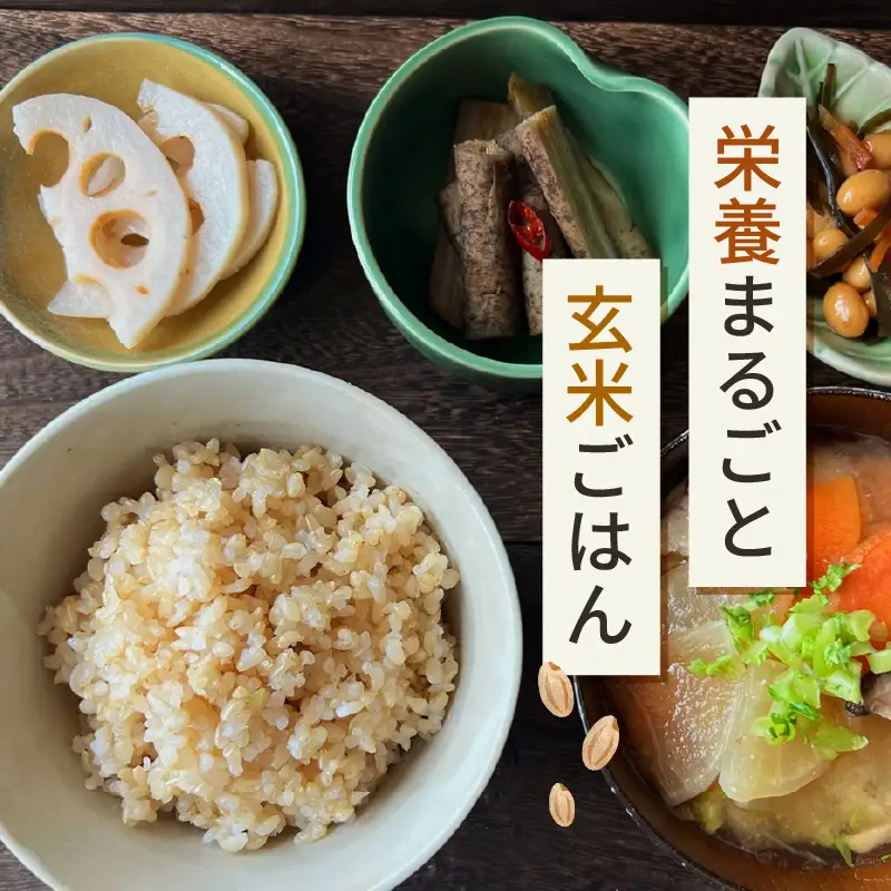 【玄米】定期便 ≪6ヶ月連続お届け≫コシヒカリ 令和8年産 玄米 10kg × 6回 (計60kg) 【長谷川農園】 [m22-k001]