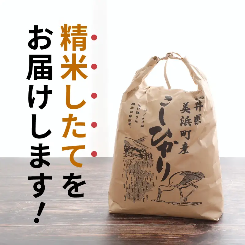 【白米】5kg コシヒカリ 令和8年産 白米【長谷川農園】 [m22-a012]