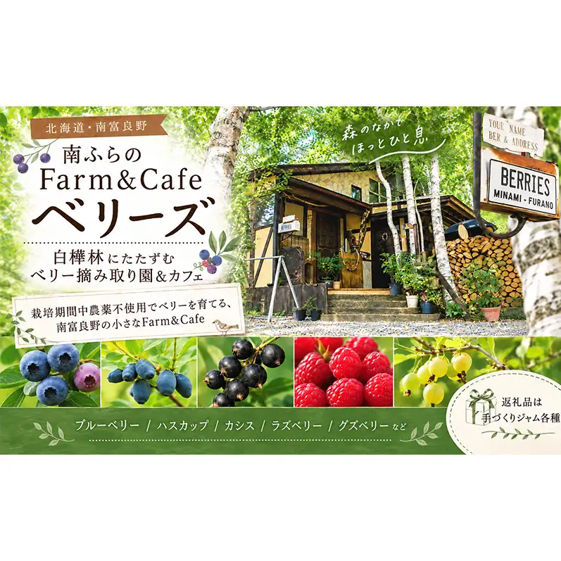 手作りジャムセット 【ブルーベリー】 2個 北海道 南富良野町 ジャム ブルーベリー ソース 果実 ベリー