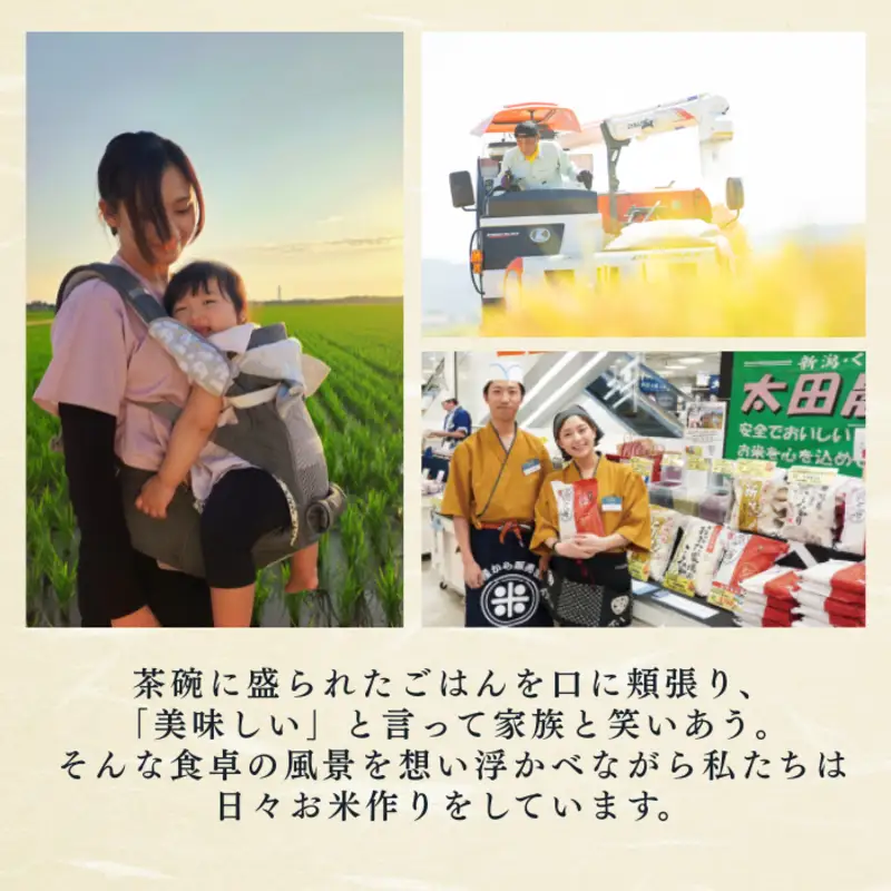 令和8年産 新潟県上越産 特別栽培米 コシヒカリ 15kg 15キロ（5kg×3） 【白米】 従来品種 こしひかり 新米 おおた農場 上越市