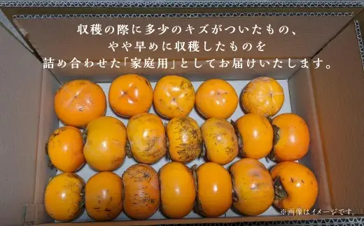 会津みしらず柿 旬のおまかせ便 （ 4Lまたは5L ） 約4kg 家庭用 果物 フルーツ 果実 果肉 果汁 国産 福島県産 【 2026年11月上旬から12月上旬発送予定 】