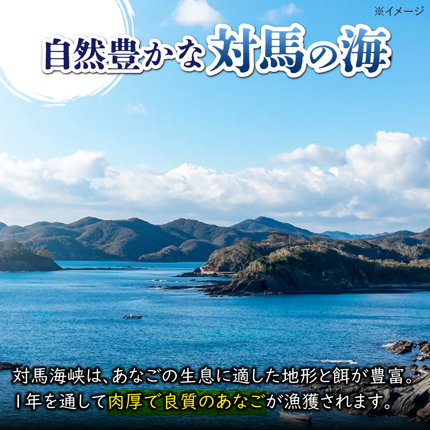 対馬 煮あなご膳 2人前 《対馬市》【対馬地域商社】九州 長崎 アナゴ[WAC066]