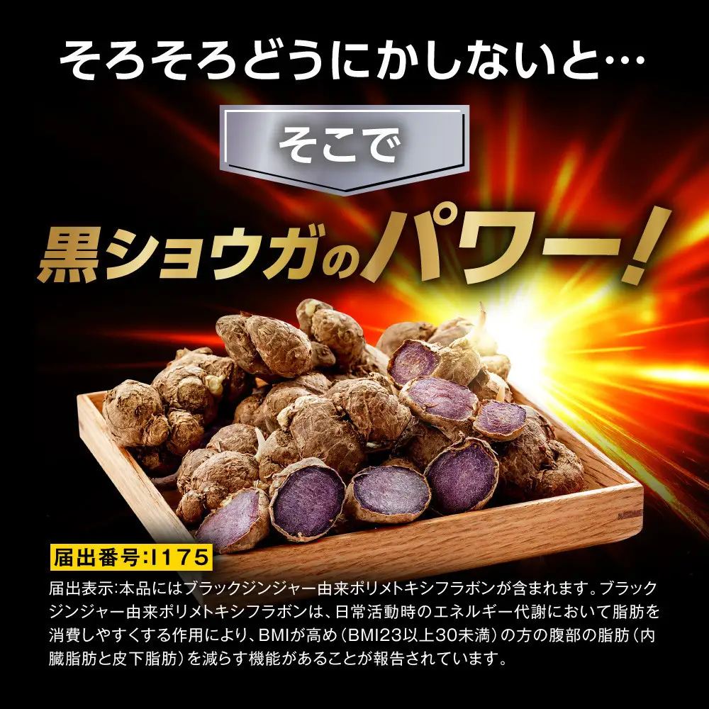 脂肪を消費しやすくする ブラックジンジャー サプリメント フラムジンジャー 機能性表示食品 6袋 ダイエット カプサイシン カテキン L-カルニチン BCAA BMI 脂肪 内臓脂肪 体重 ウエスト