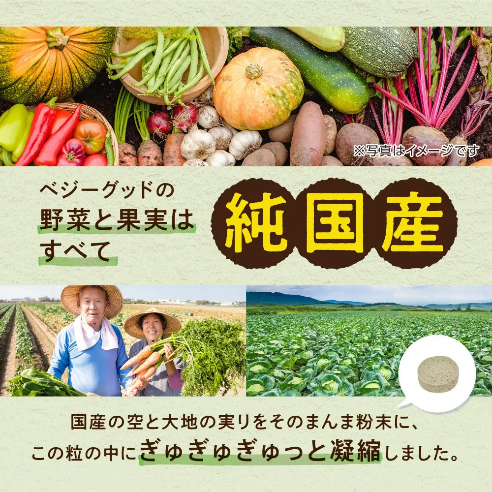 ベジーグッド　3袋（3ヶ月分） サプリメント サプリ 健康食品 健康管理 国産野菜 国産果実 ビタミンA ビタミンB1 ビタミンC ビタミンE マルチビタミン