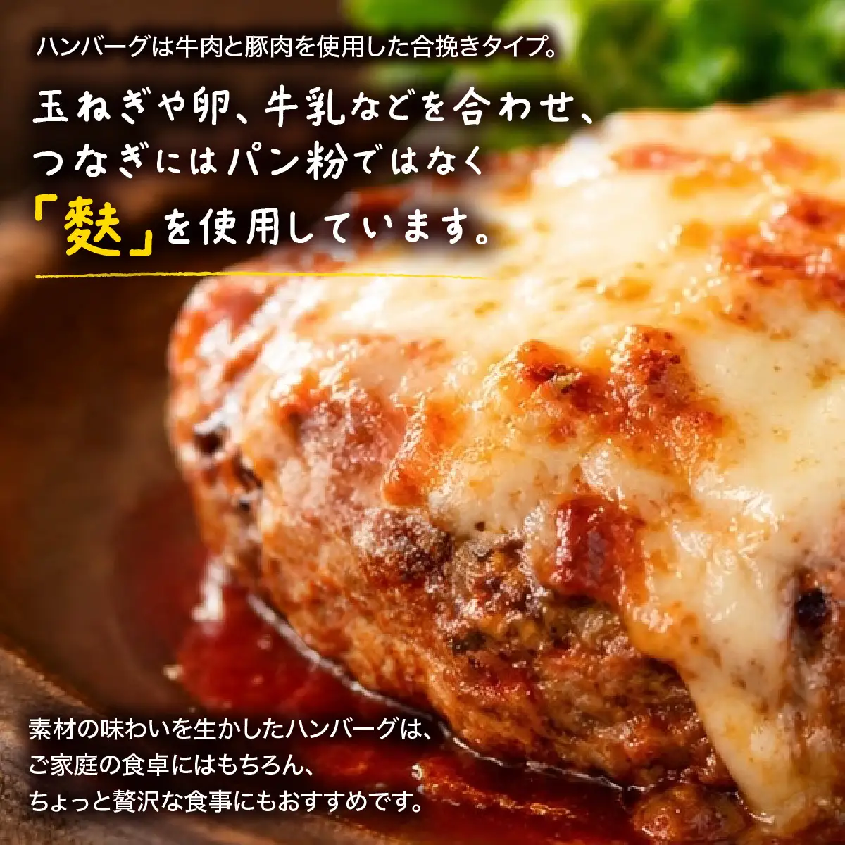 冷凍ハンバーグ　チーズハンバーグ　5P MBBR006