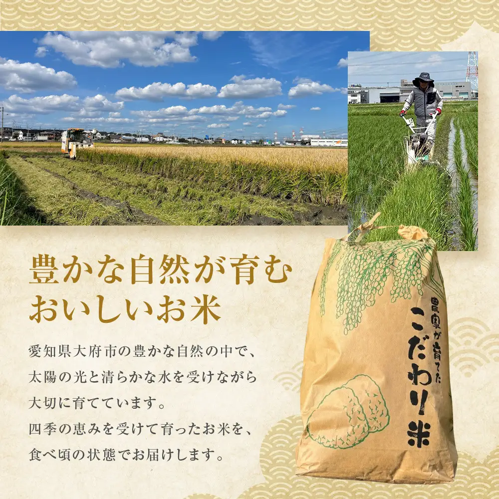 ミルキークイーン　2kg
