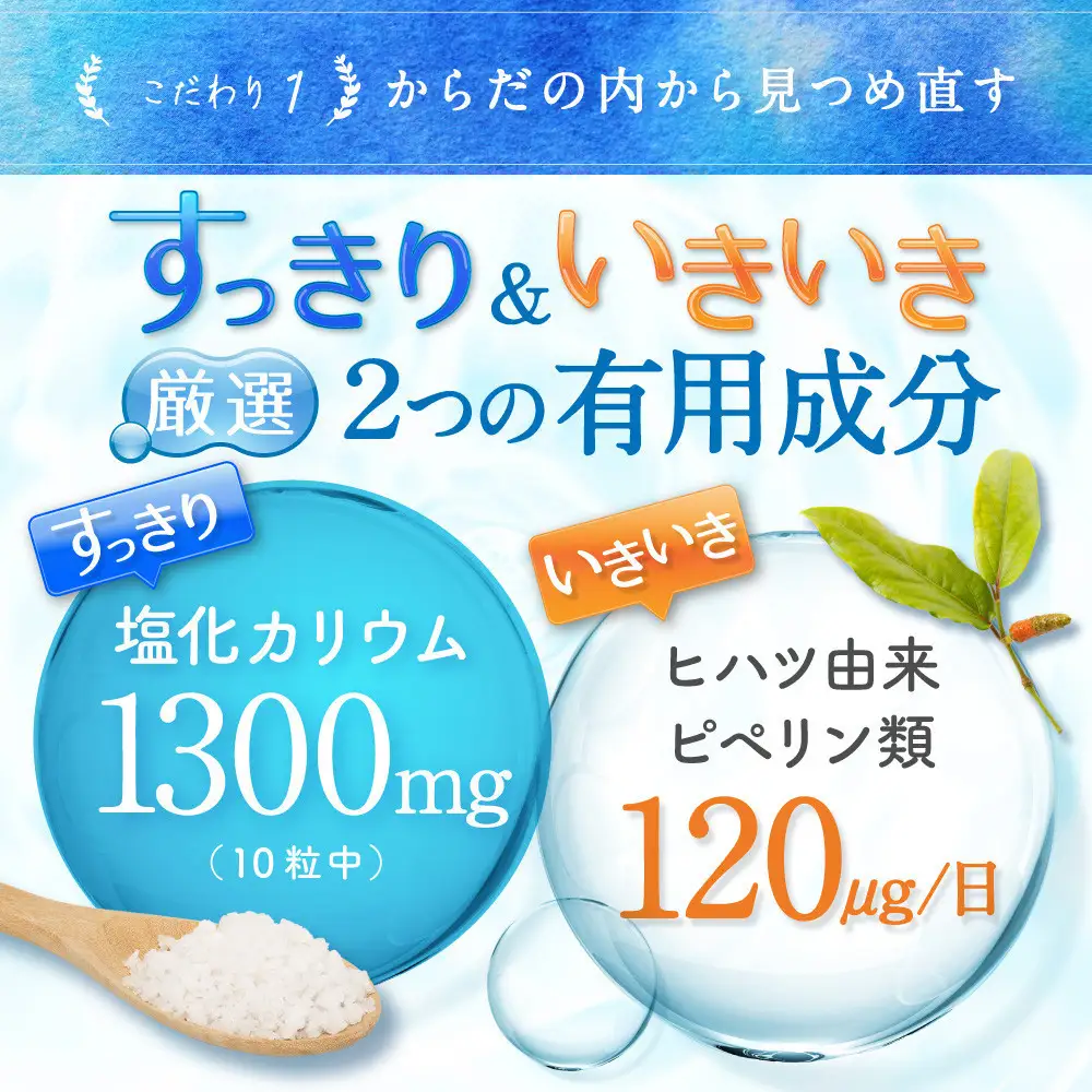 カリウム サプリメント メグリウム ヒハツ ショウガ 栄養機能食品 ビタミンB1 ビタミンB6 ビタミンE 2袋