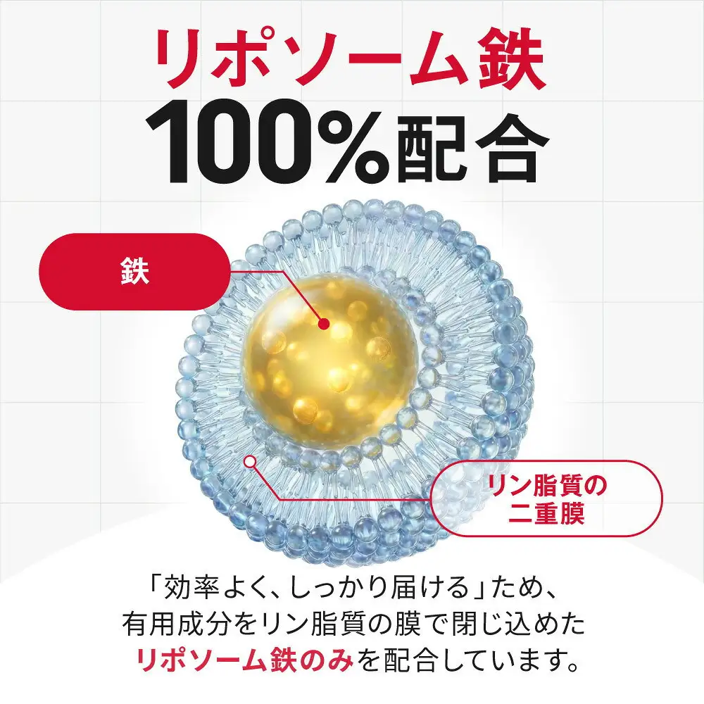 ミネラルベース 鉄 サプリ リポソーム ミネラル 栄養機能食品 鉄分 ビタミンC クエン酸 葉酸 サプリメント 6袋