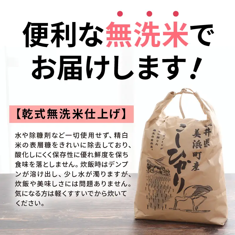 【無洗米】定期便 ≪6ヶ月連続お届け≫コシヒカリ 令和8年産 無洗米 10kg × 6回 (計60kg) 【長谷川農園】 [m22-l002]