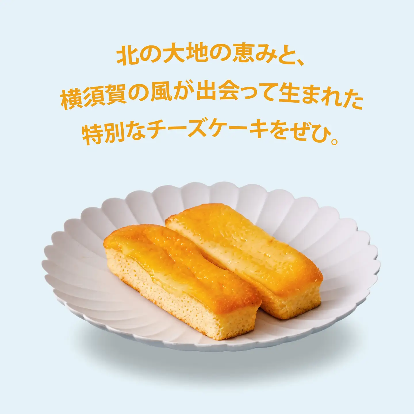 ノースウインド5個入り【カシュカシュ洋菓子店】[AKCG004]