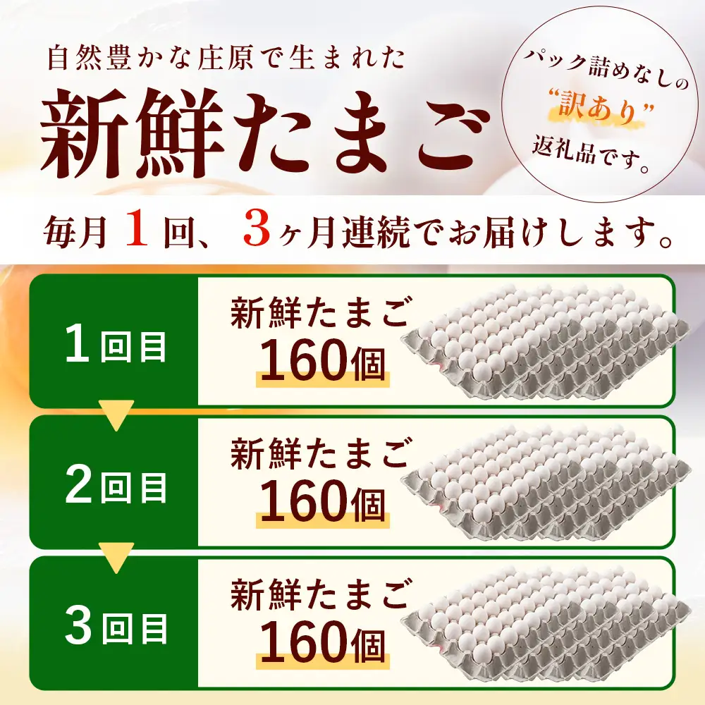 定期便 3回配送 新鮮 たまご 160個×3回 合計480個 | 自然豊かな庄原で生まれた 新鮮たまご 広島県 庄原市 訳アリ MSサイズ～2Lサイズ サイズ混合 サイズ指定不可