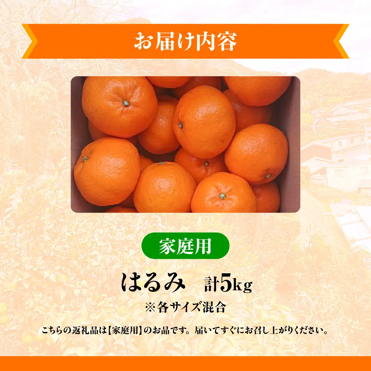【先行予約】佐田岬　瀬戸内産　はるみ【家庭用】約5㎏ IKTBM001