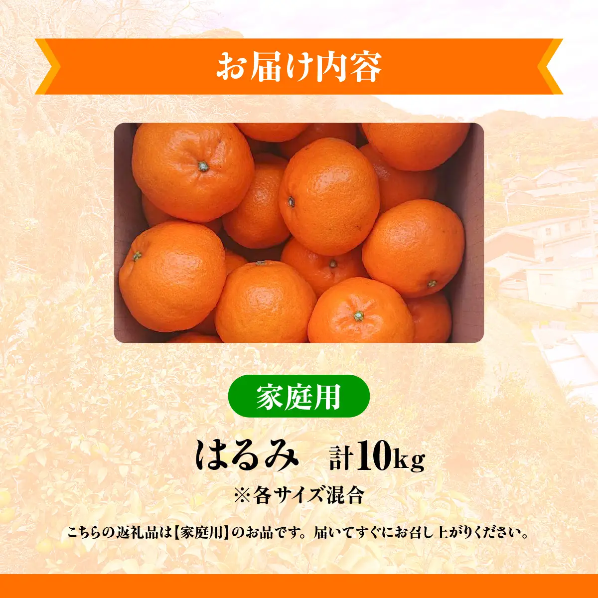 【先行予約】佐田岬　瀬戸内産　はるみ【家庭用】約10㎏ IKTBM002