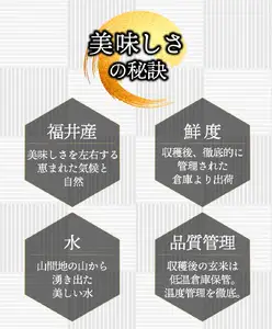 コシヒカリ 無洗米 3kg（1kg×3）令和8年産 [095-a331]
