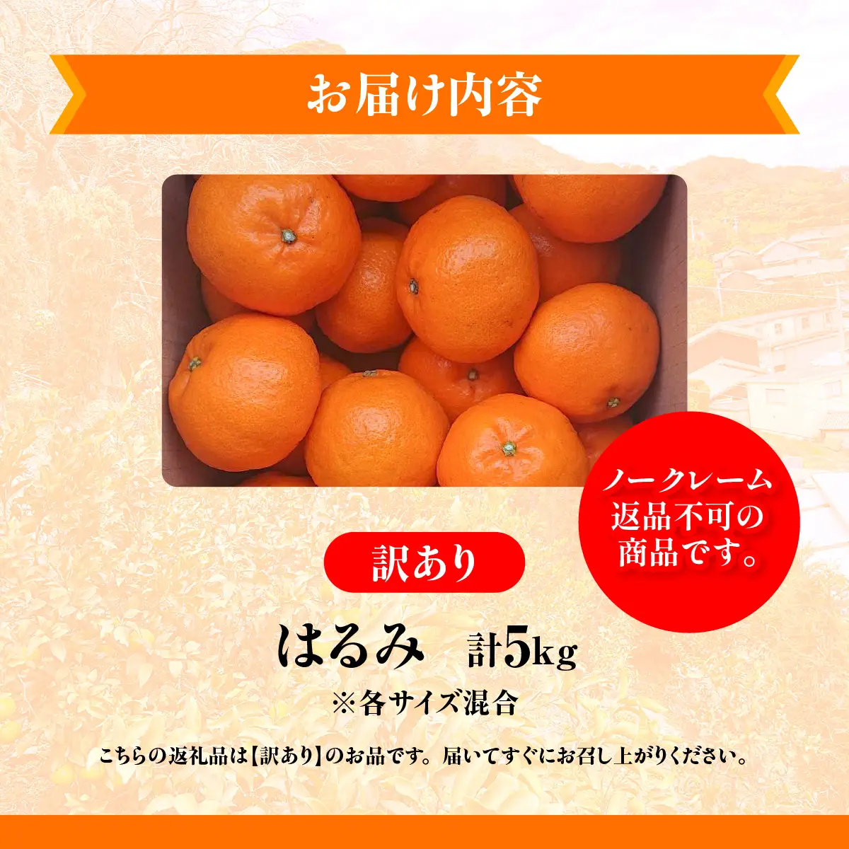 【先行予約】佐田岬　瀬戸内産　はるみ【訳あり】約5㎏ IKTBM003