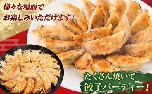 においが消える！？にんにく餃子 24個✕1袋  海藻抽出物 消臭技術 餃子 ギョーザ にんにく ニンニク 金子式201 冷凍 冷凍食品 おつまみ 夕食 家庭料理 お惣菜