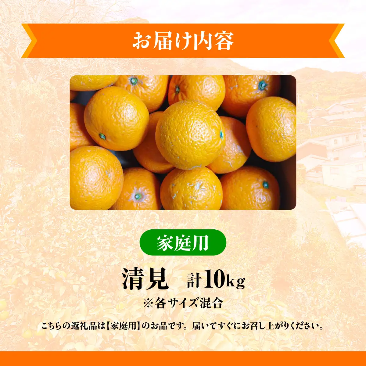 【先行予約】佐田岬　瀬戸内産　清見タンゴール【家庭用】約10㎏ IKTBM006
