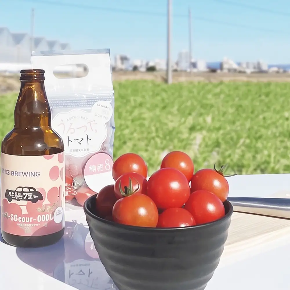 うるつやトマト 【糖度8】 10パック ／ ミニトマト 機能性表示食品 リコピン GABA 高糖度 甘いトマト みずみずしい 野菜不足対策 美容サポート 紫外線対策 食べやすい 朝食 お弁当 サラダ 国産 野菜ギフト ヘルシー オリジナルボックス 家庭用 プレゼント 贈り物 送料無料 愛知県 No.545-02