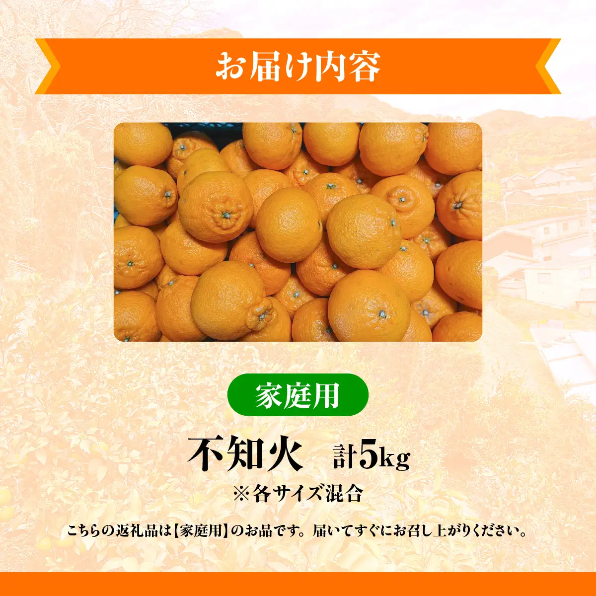 【先行予約】佐田岬　瀬戸内産　不知火【家庭用】約5㎏ IKTBM009