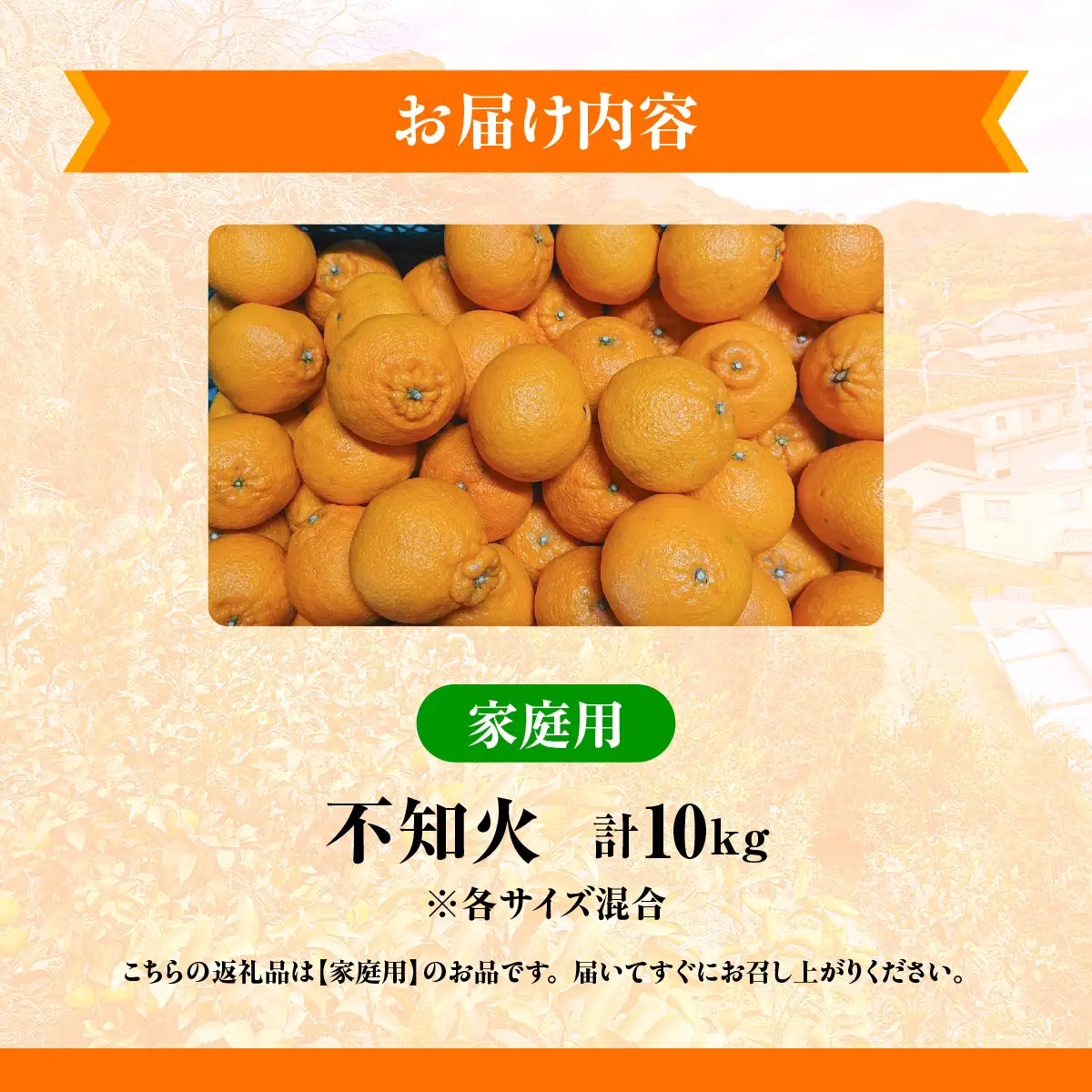 【先行予約】佐田岬　瀬戸内産　不知火【家庭用】約10㎏ IKTBM010