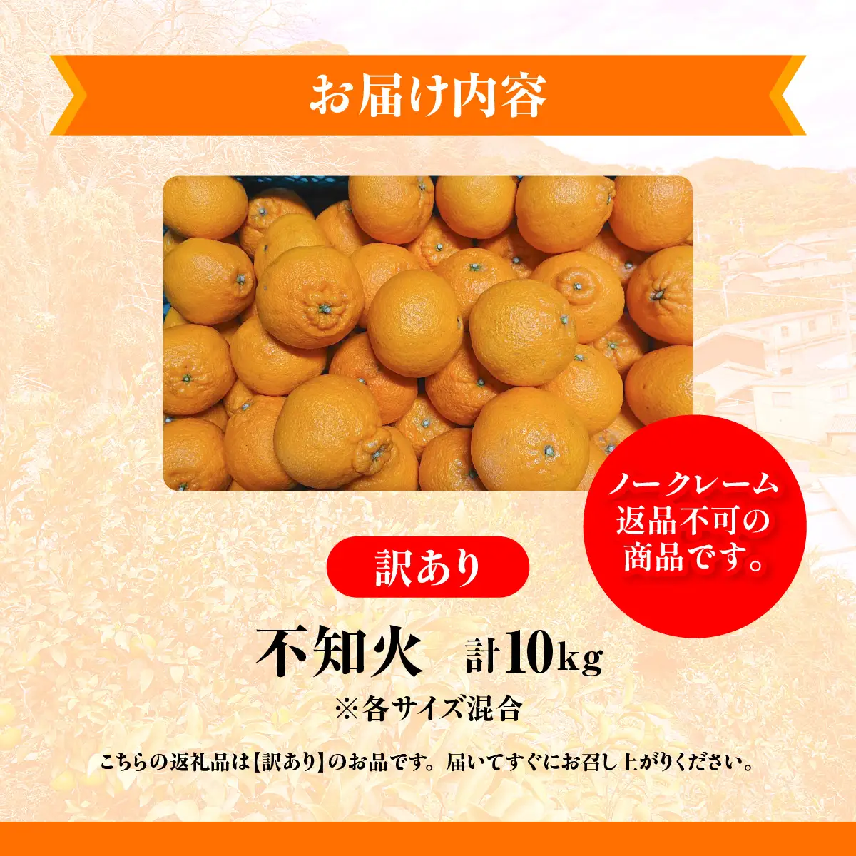 【先行予約】佐田岬　瀬戸内産　不知火【訳あり】約10㎏ IKTBM012