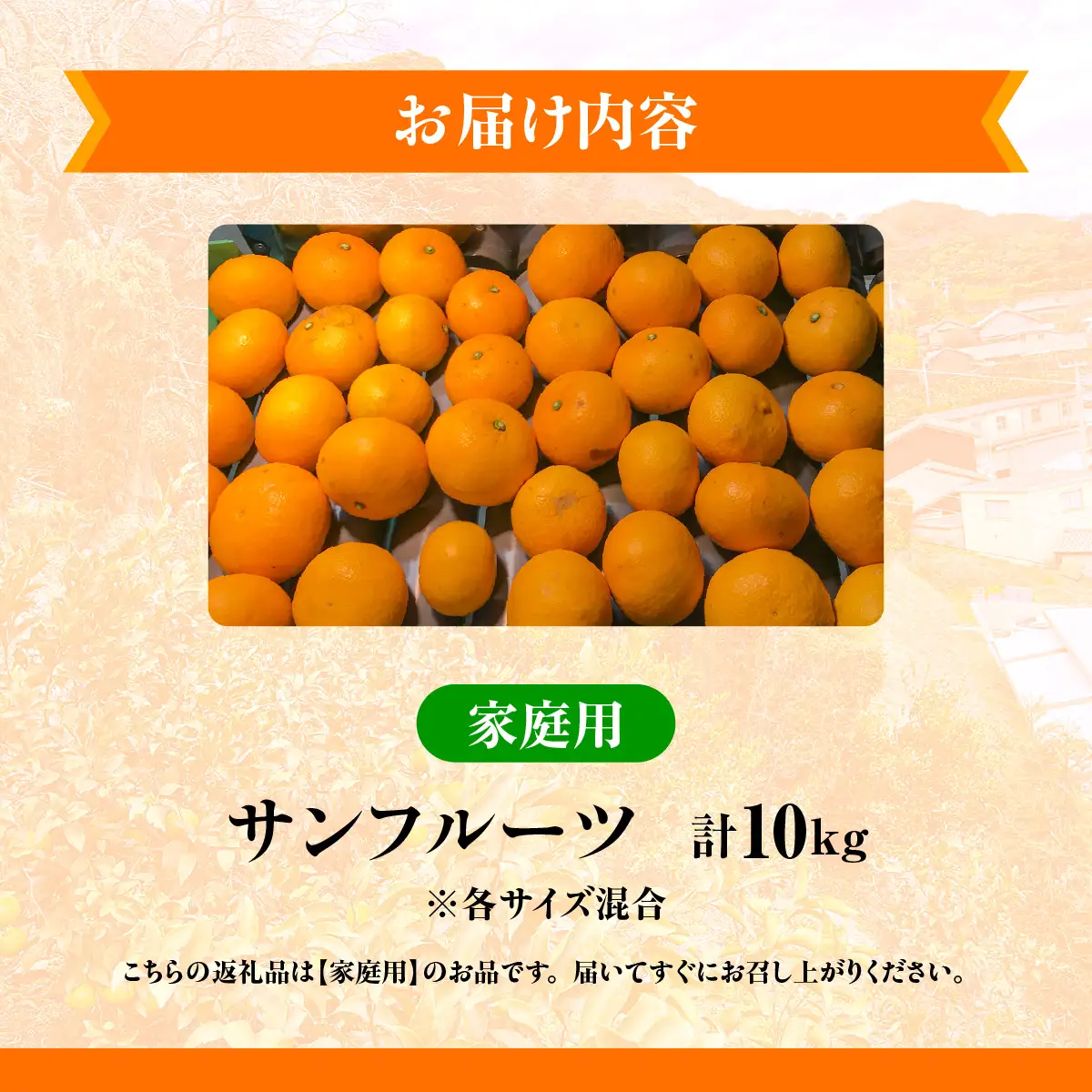 【先行予約】佐田岬　瀬戸内産　サンフルーツ【家庭用】約10㎏ IKTBM013