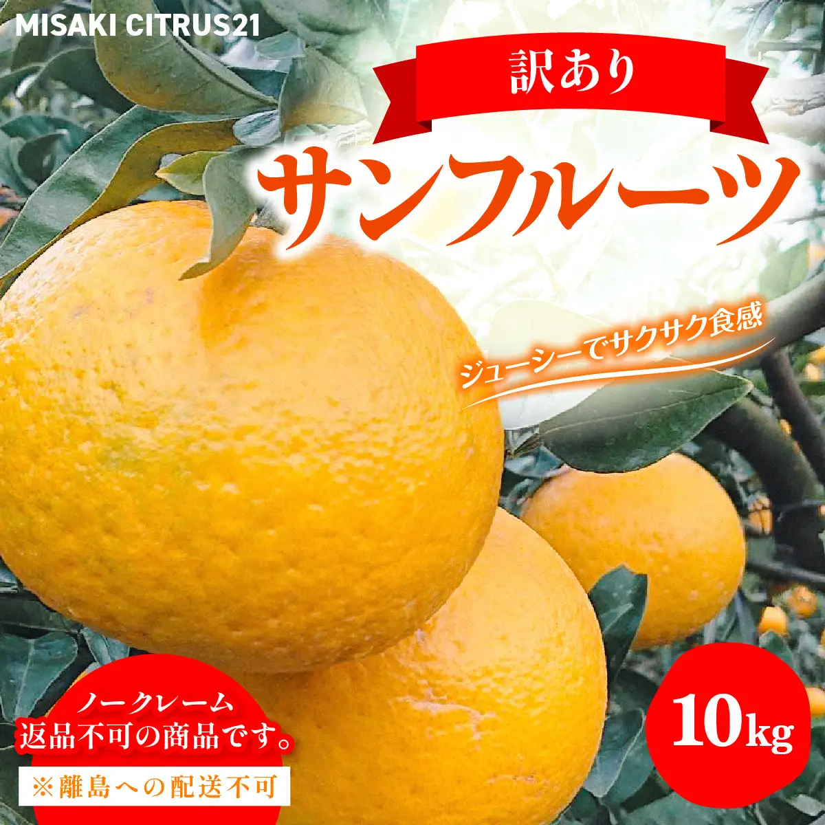 【先行予約】佐田岬　瀬戸内産　サンフルーツ【訳あり】約10㎏ IKTBM014
