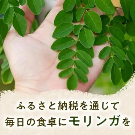 【毎日の食事とご一緒に】モリンガ茶(40g)×5袋 1セット お茶 モリンガ 徳島県 板野町【1743342】