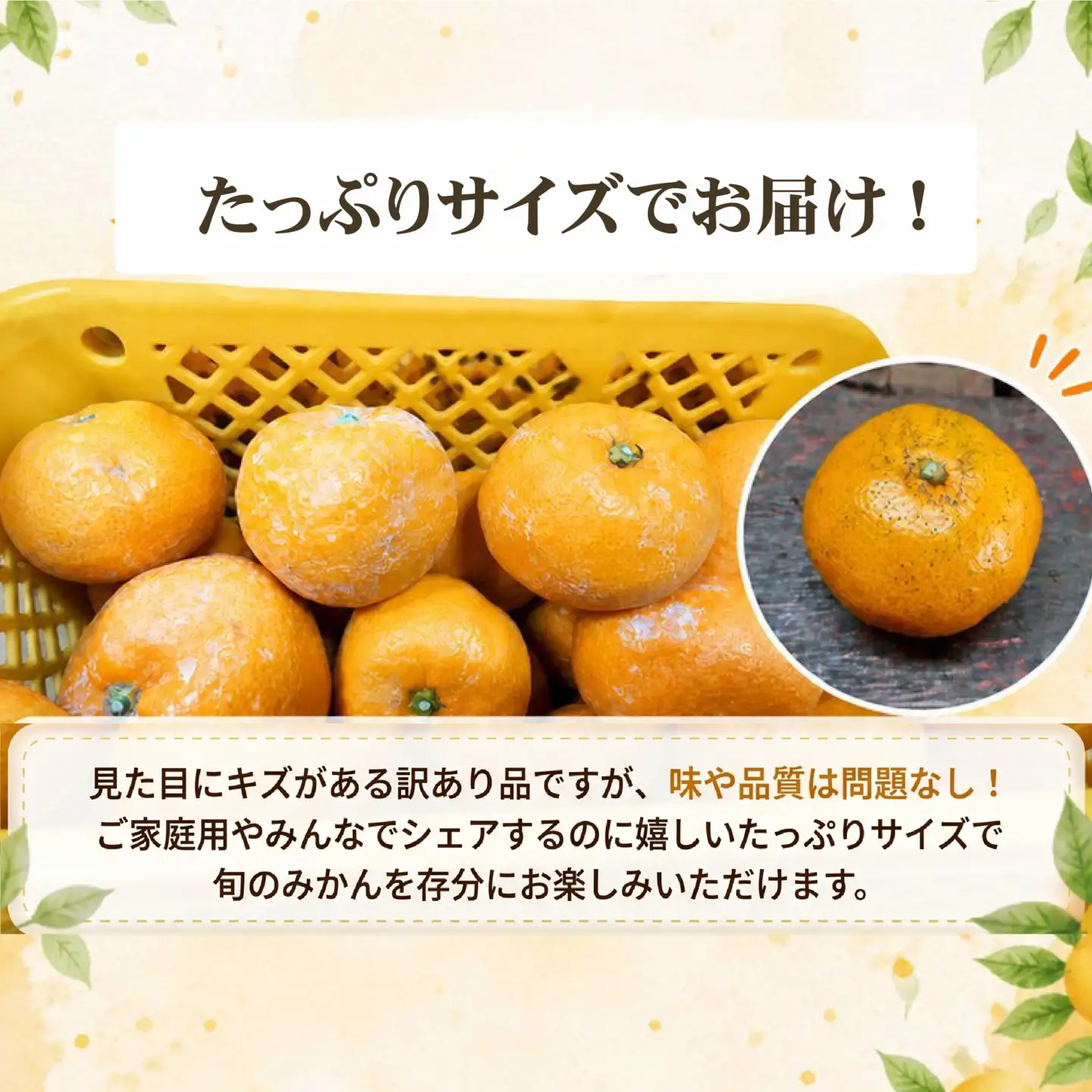 【 訳あり 】 温州みかん 10kg みかん ミカン 蜜柑 柑橘