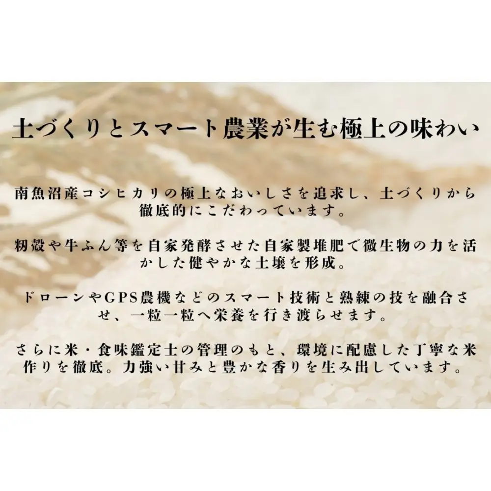 【令和８年産新米予約】南魚沼産 笠原農園米 ゆうだい２１　３合真空パック２０個 【2026年10月中旬より1ヶ月以内に順次発送】