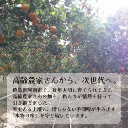 栽培期間中農薬・化学肥料不使用!ストレートみかんジュース600ml2本　情熱カンパニー　ご自宅用【1737108】