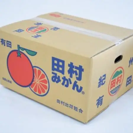 【ブランドみかん】田村みかん大玉約9kg(2Lサイズ)2026年11月下旬より順次発送【1775495】