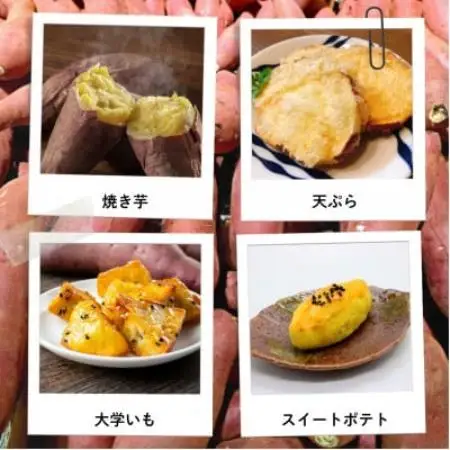 【宮城県産】仙台金時　さつまいも約3kg【1748701】