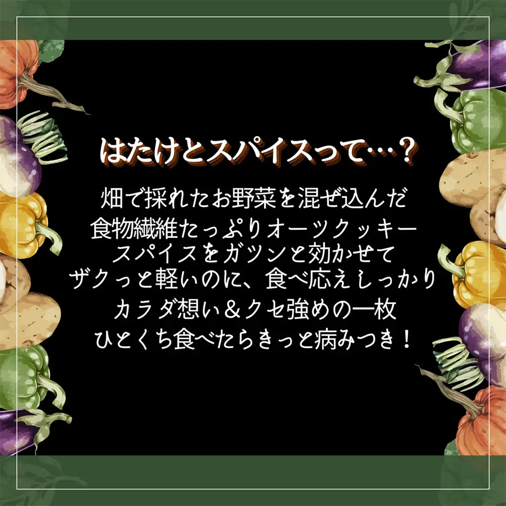 HATAKE to SPICE深谷ネギ オートミールクッキー　1箱　【11218-1075】