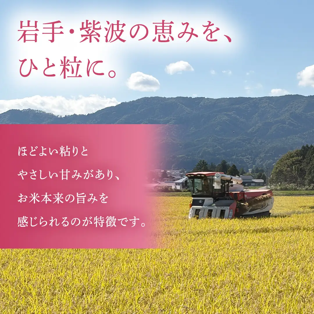 【 新米 】 令和8年産 ひとめぼれ 5kg 精米 AO006