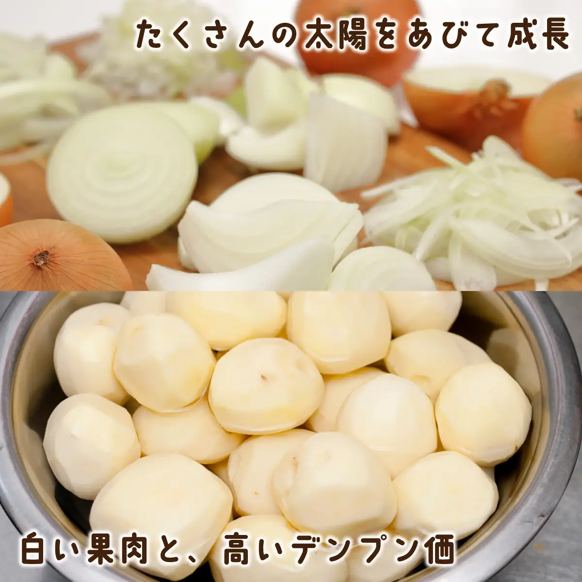 ＪＡきたみらい男爵芋・玉葱詰め合わせ 計約6kgOTC004