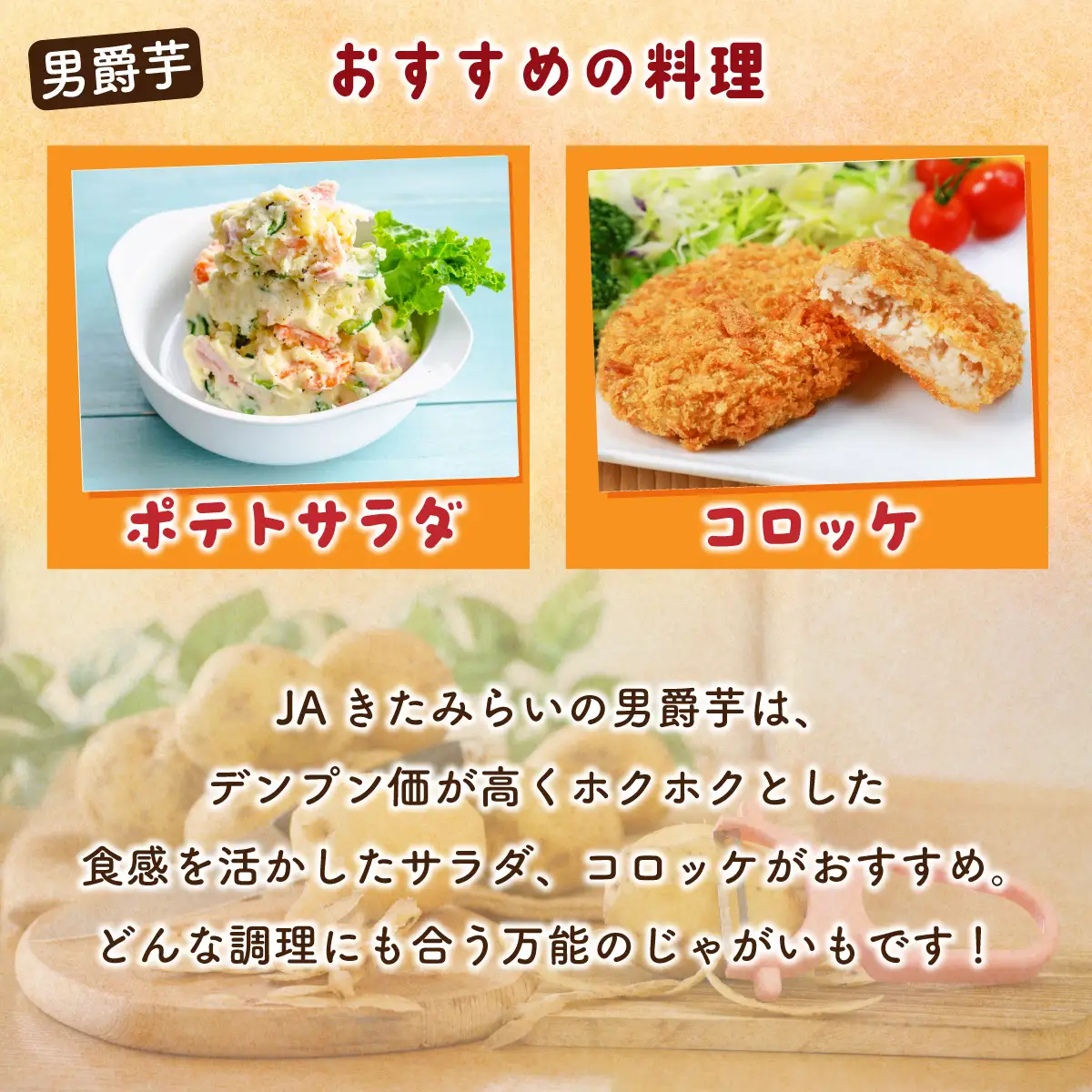 ＪＡきたみらい男爵芋 約3kgOTC006