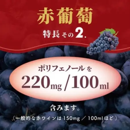 スジャータめいらく　赤葡萄　100%　1000ml　6本セット【1786707】