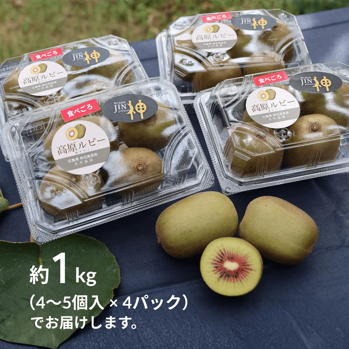 【ふるさと納税】神石高原町産 高原ルビー（レッドキウイ）4〜5個入り×4パック チルド便《11月上旬から順次発送》広島県 神石高原町 果物 フルーツ キウイ 送料無料