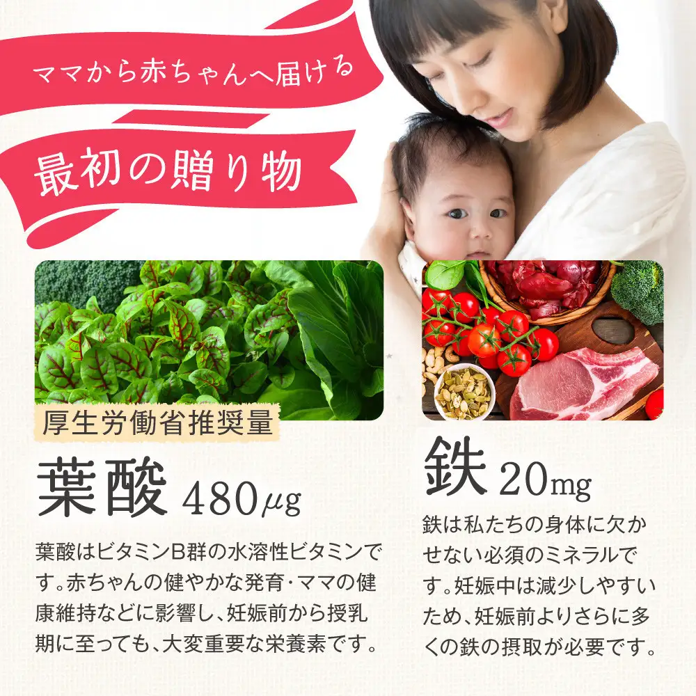 ルミエル 葉酸+鉄 with 乳酸菌 6袋 サプリメント 妊婦 妊娠 妊活期の葉酸補給