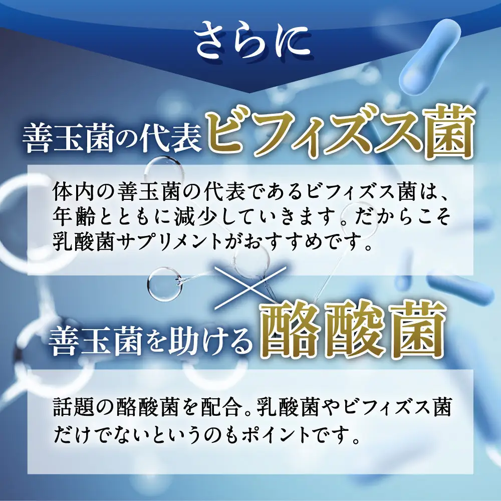 乳酸菌サプリメント 2袋 ナノ型乳酸菌10兆個&ビフィズス菌配合 乳酸菌プレミアム
